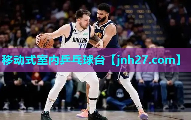 移动式室内乒乓球台