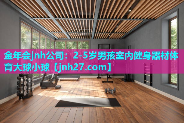 金年会jnh公司：2-5岁男孩室内健身器材体育大球小球