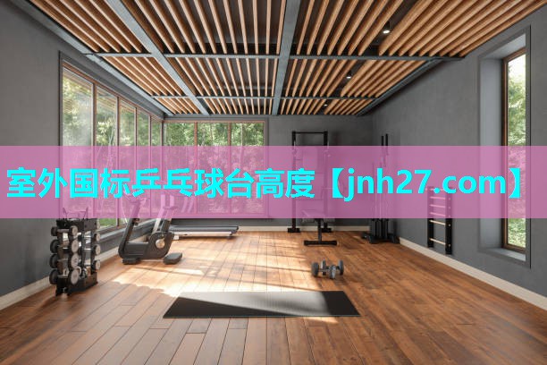 室外国标乒乓球台高度