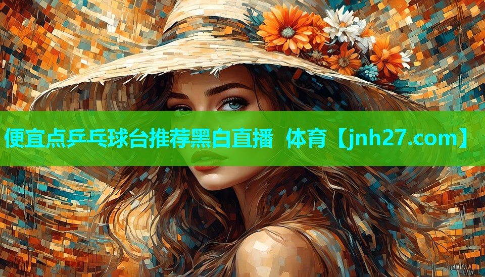 便宜点乒乓球台推荐黑白直播 体育