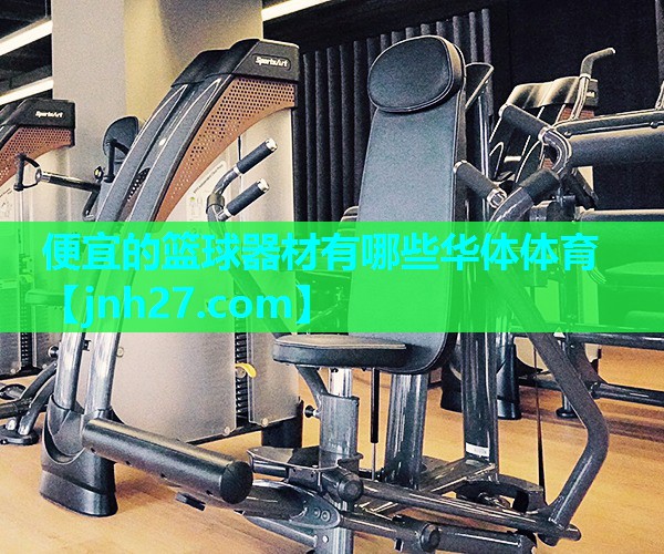 便宜的篮球器材有哪些华体体育