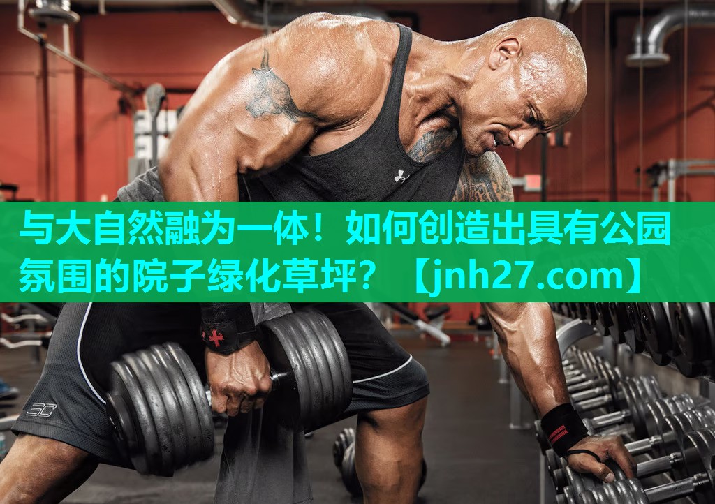 与大自然融为一体！如何创造出具有公园氛围的院子绿化草坪？