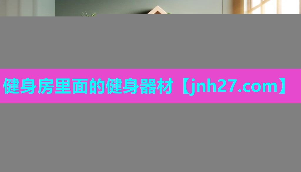 健身房里面的健身器材