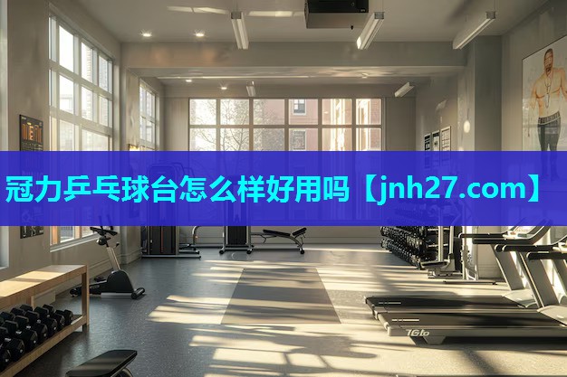 冠力乒乓球台怎么样好用吗